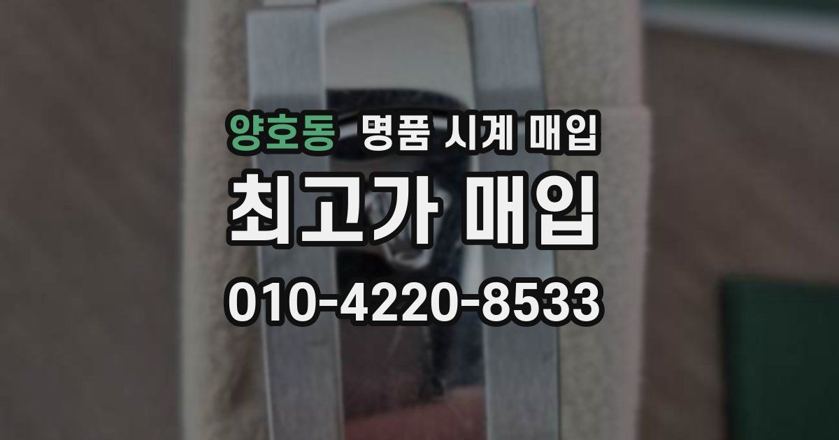 양호동 명품 시계 매입