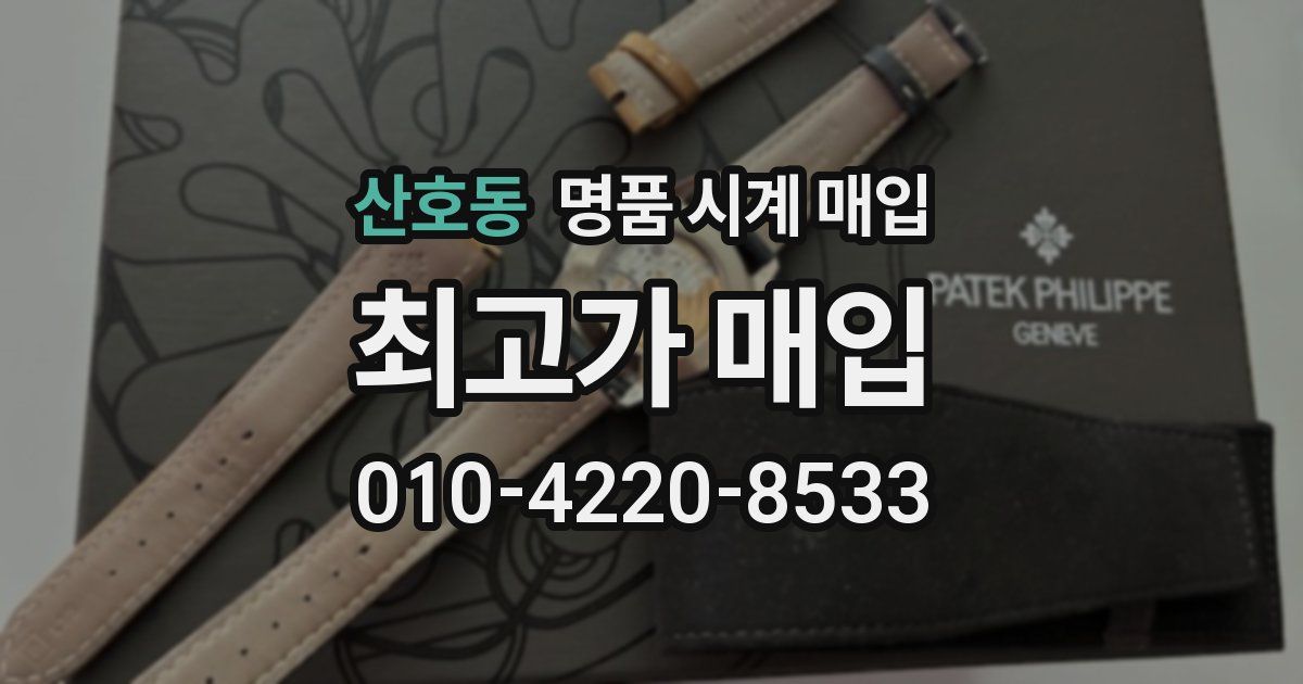 산호동 명품 시계 매입
