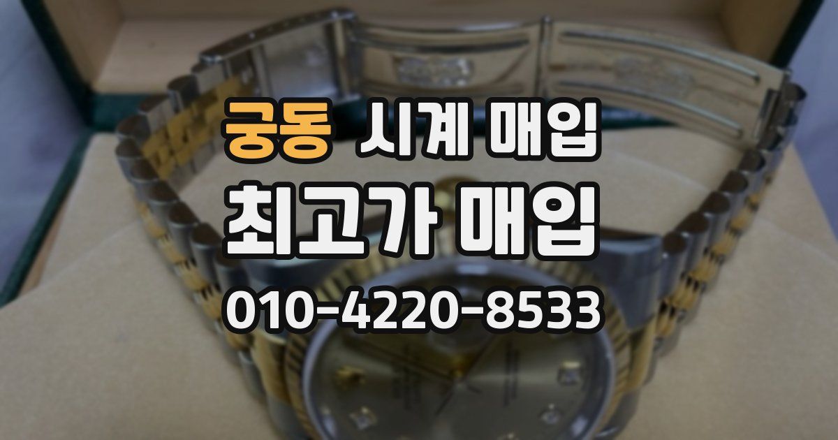 궁동 시계 매입