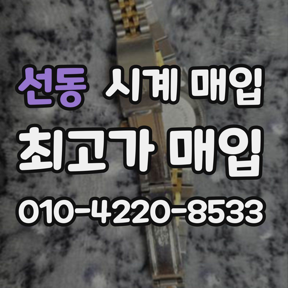 선동 시계 매입