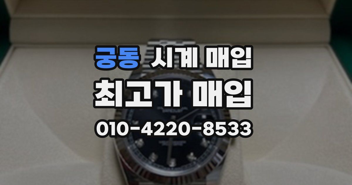 궁동 시계 매입