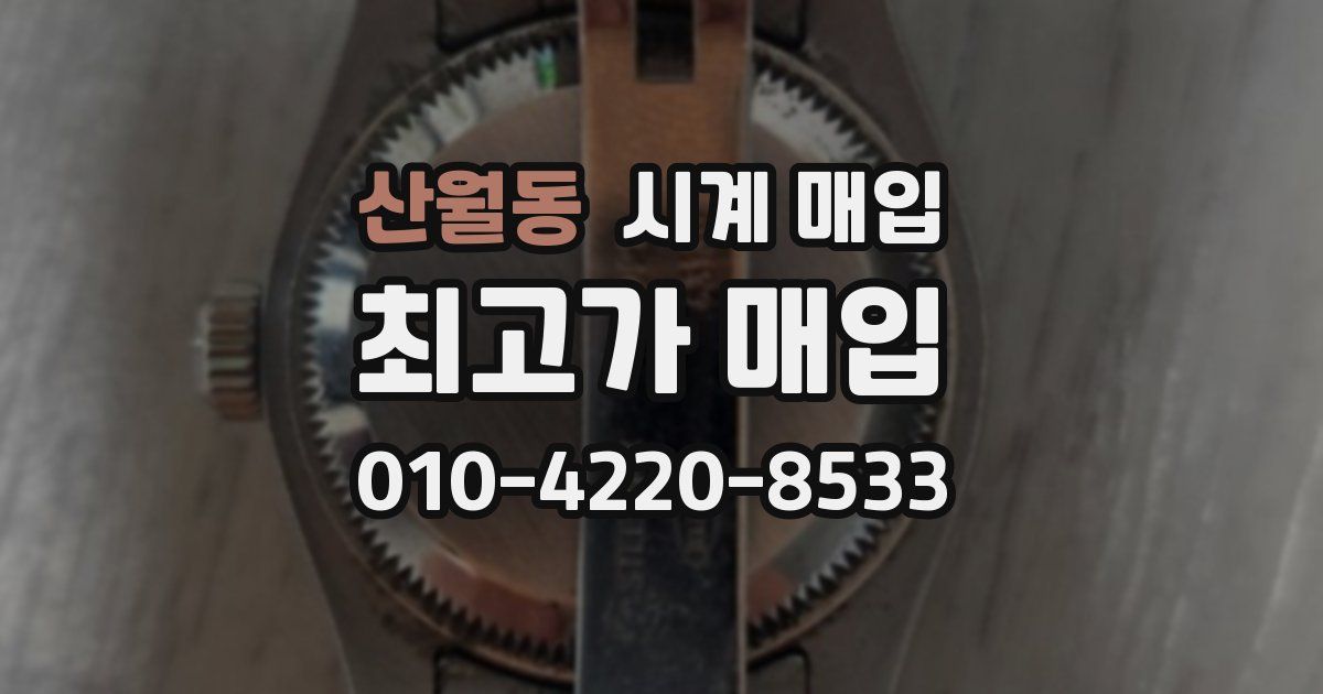 산월동 시계 매입