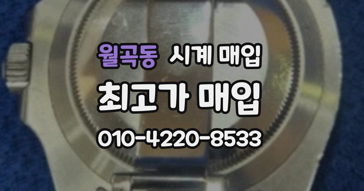 월곡동 시계 매입
