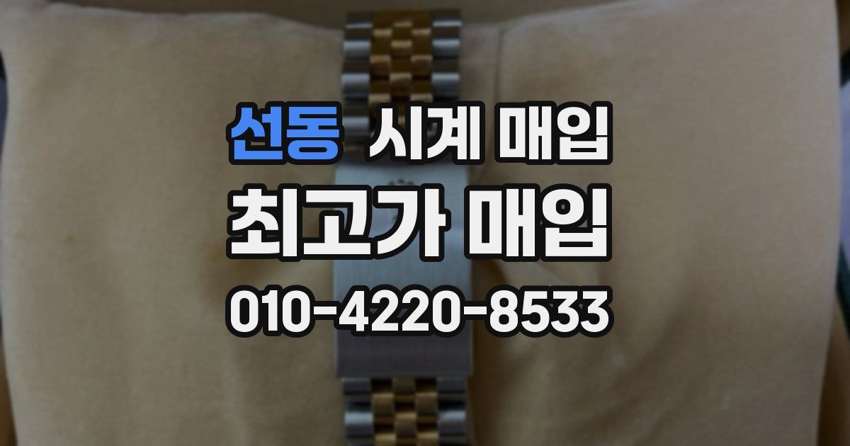 선동 시계 매입