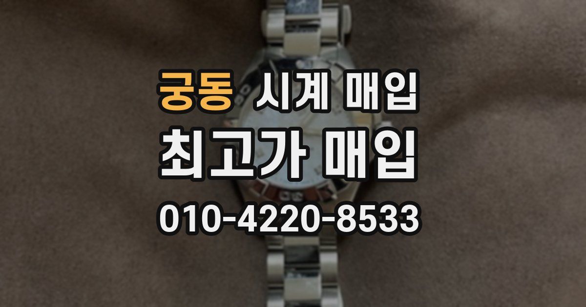 궁동 시계 매입