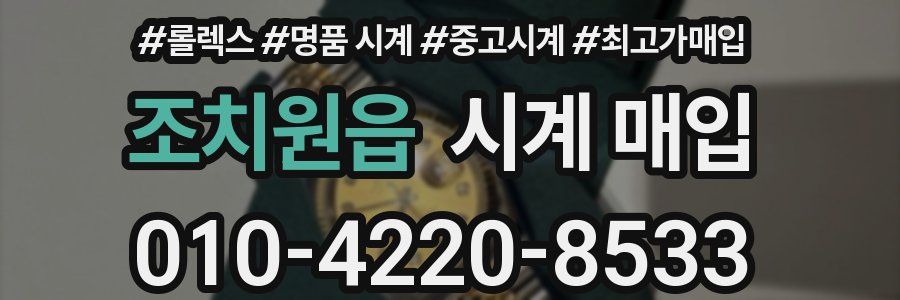 조치원읍 시계 매입