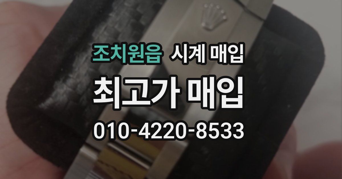 조치원읍 시계 매입
