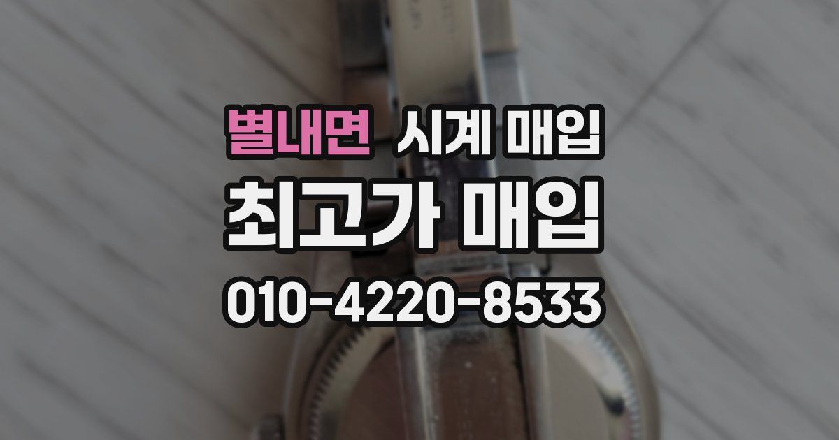별내면 시계 매입