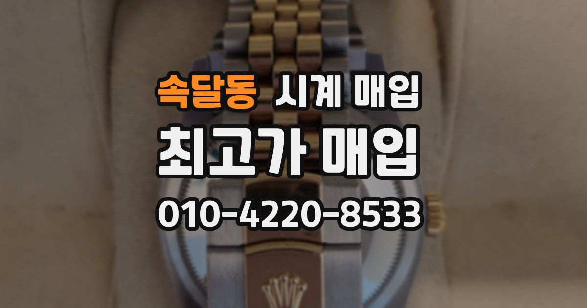 속달동 시계 매입