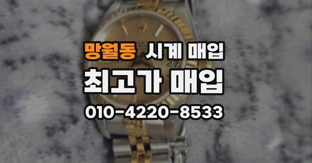 망월동 시계 매입