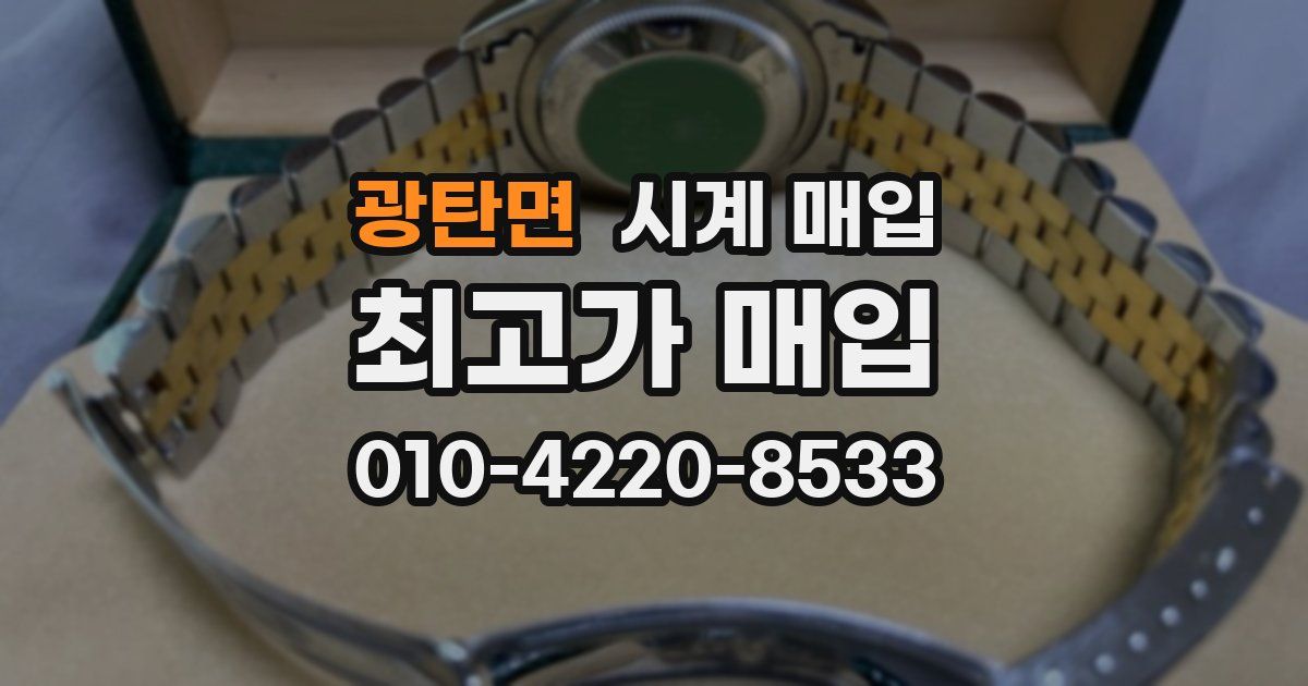 광탄면 시계 매입