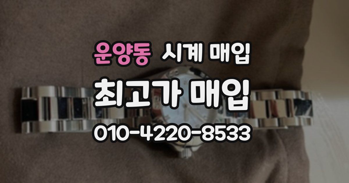 운양동 시계 매입