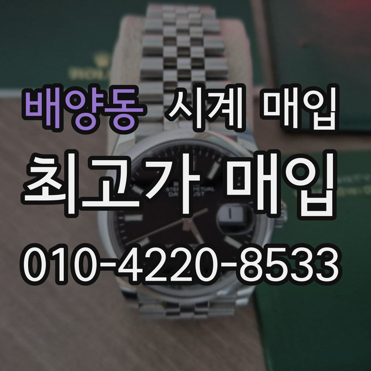배양동 시계 매입