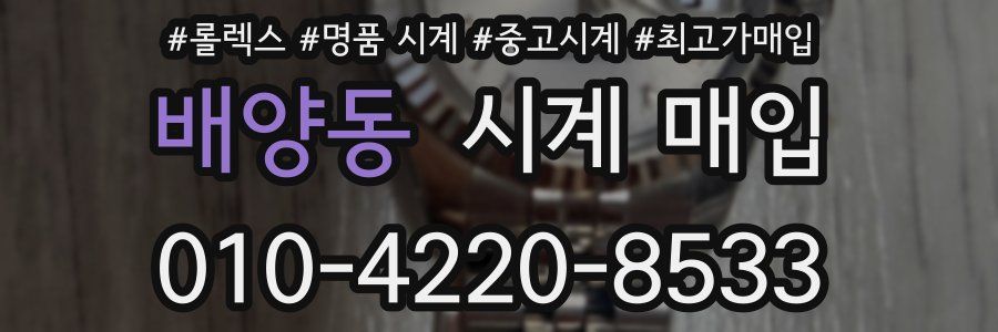 배양동 시계 매입