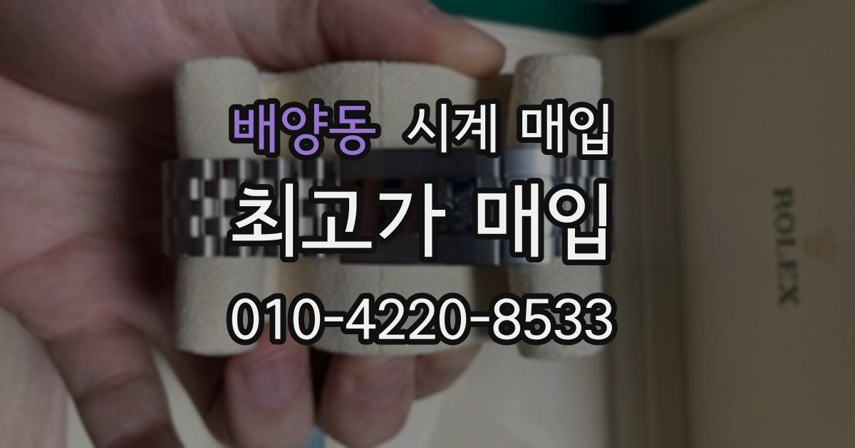배양동 시계 매입