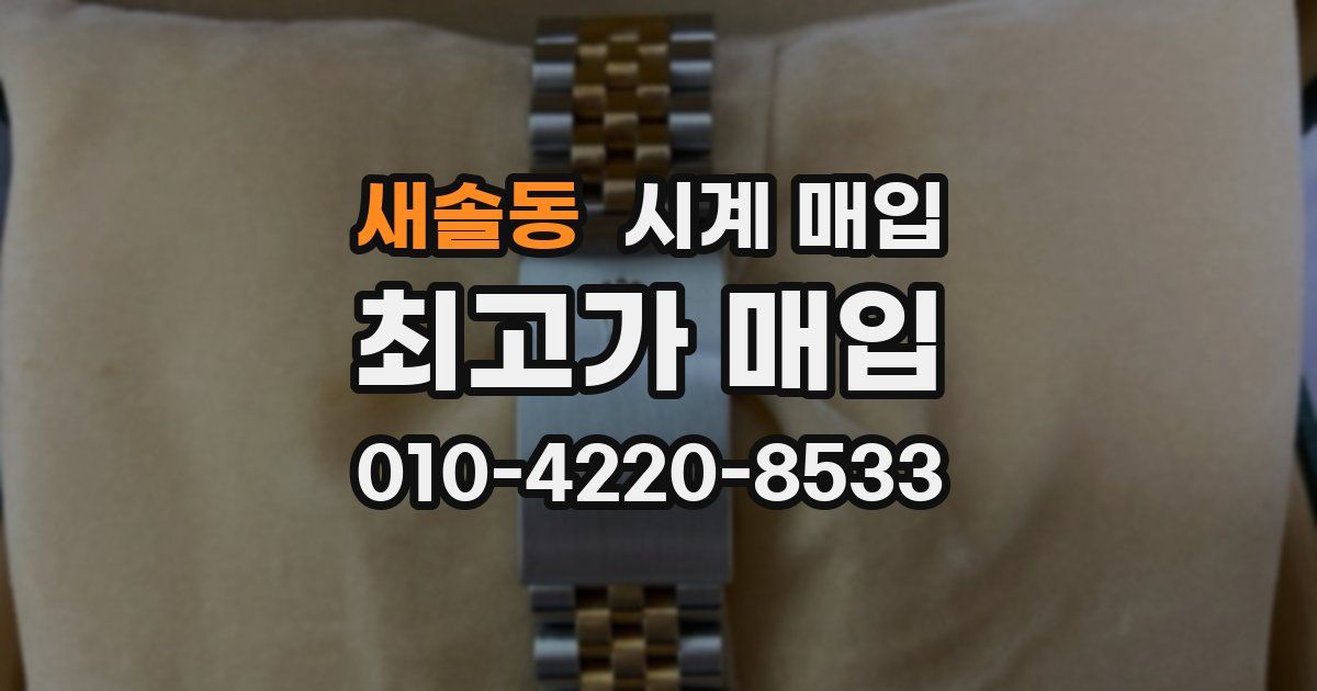새솔동 시계 매입
