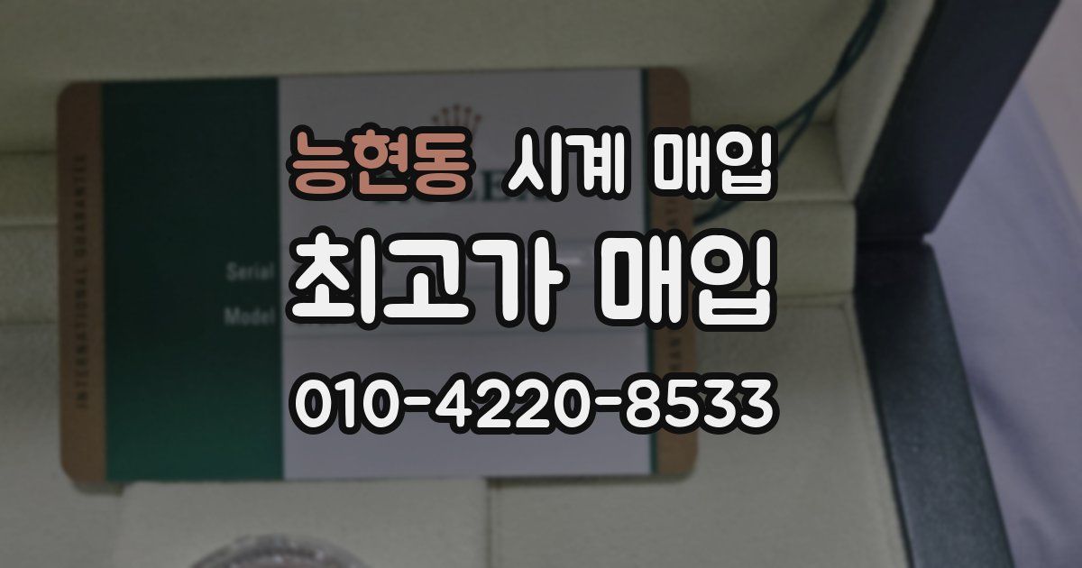 능현동 시계 매입