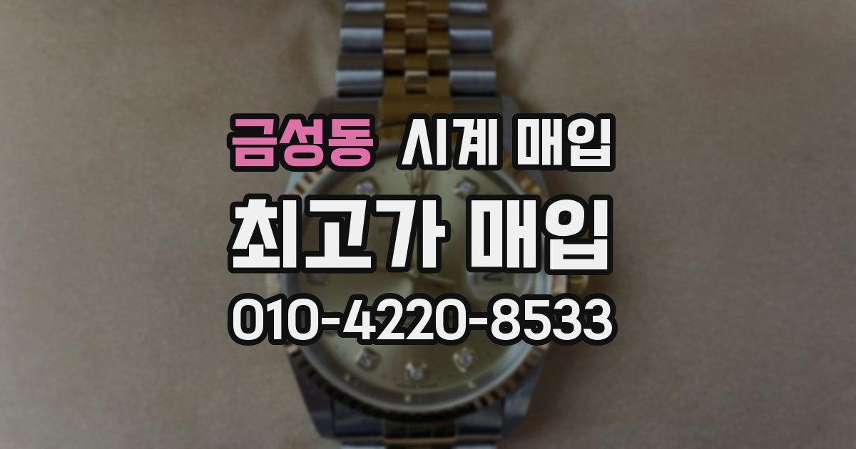 금성동 시계 매입