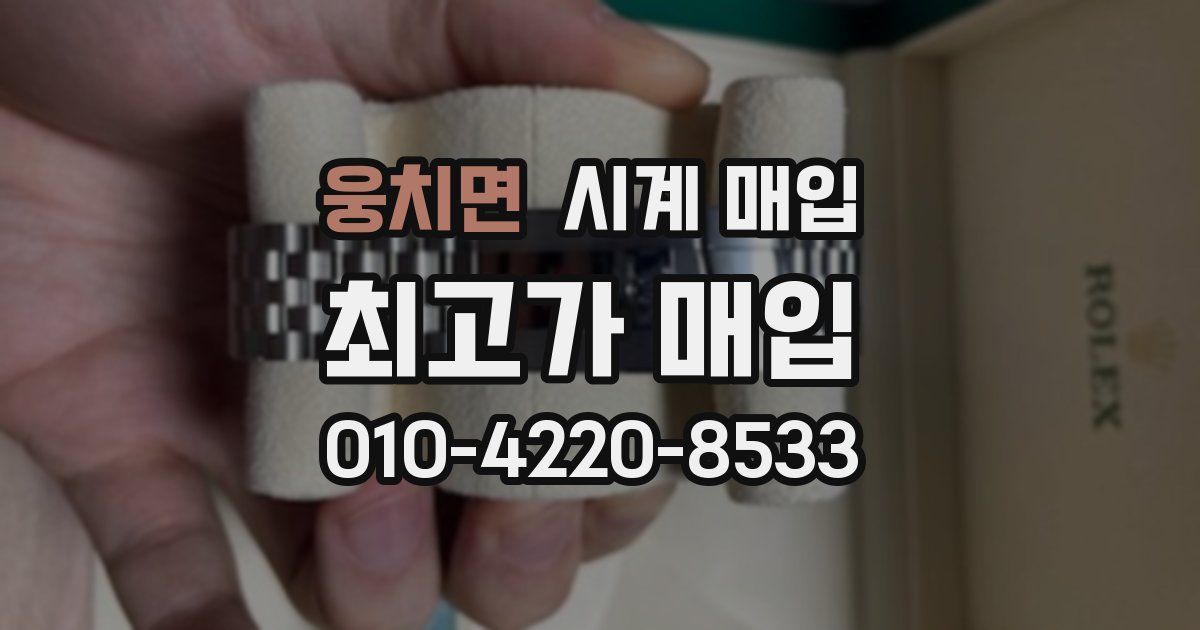 웅치면 시계 매입