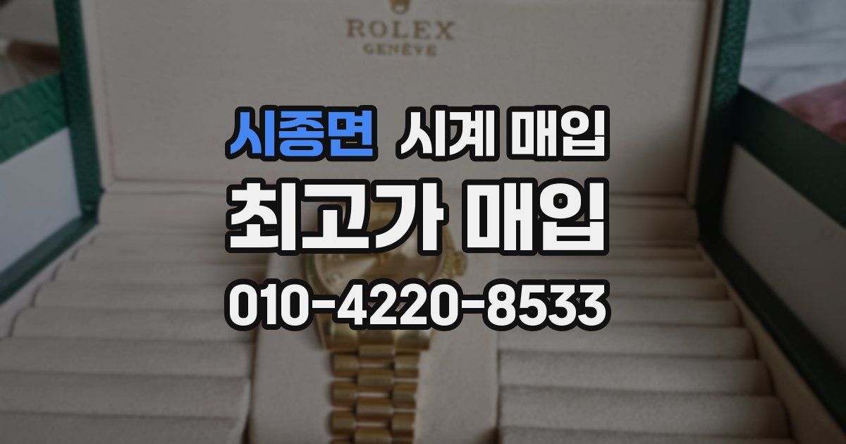 시종면 시계 매입