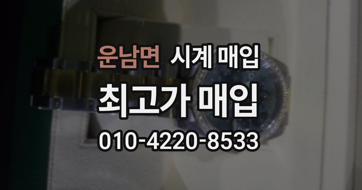운남면 시계 매입