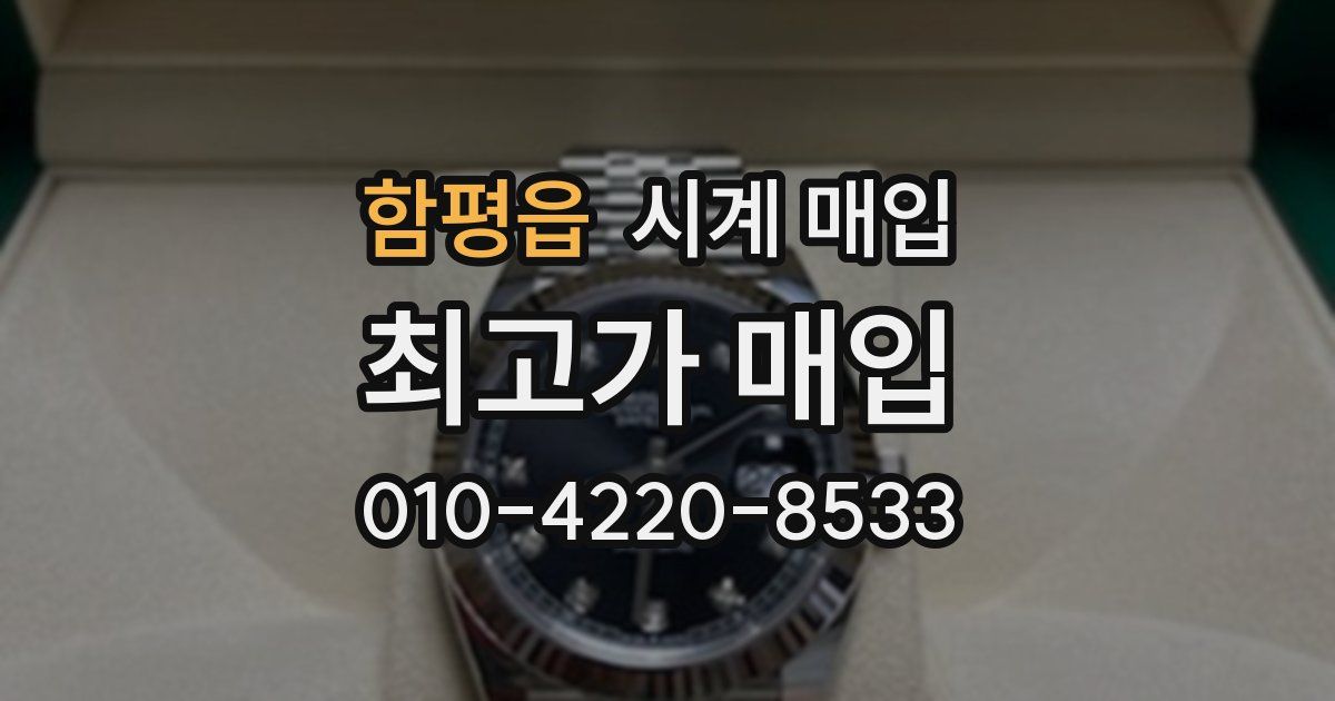 함평읍 시계 매입
