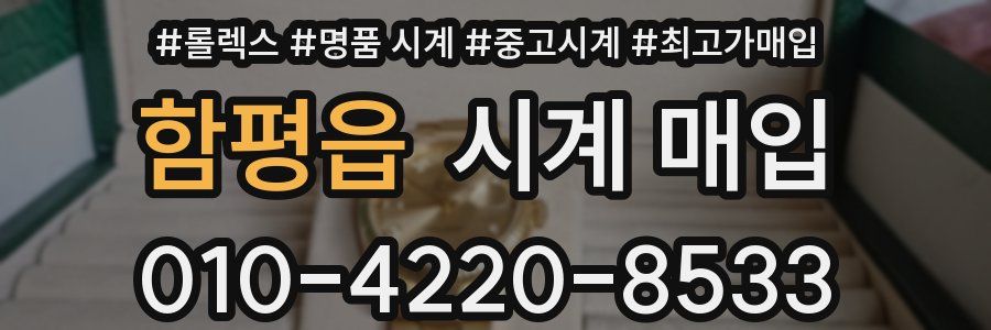 함평읍 시계 매입