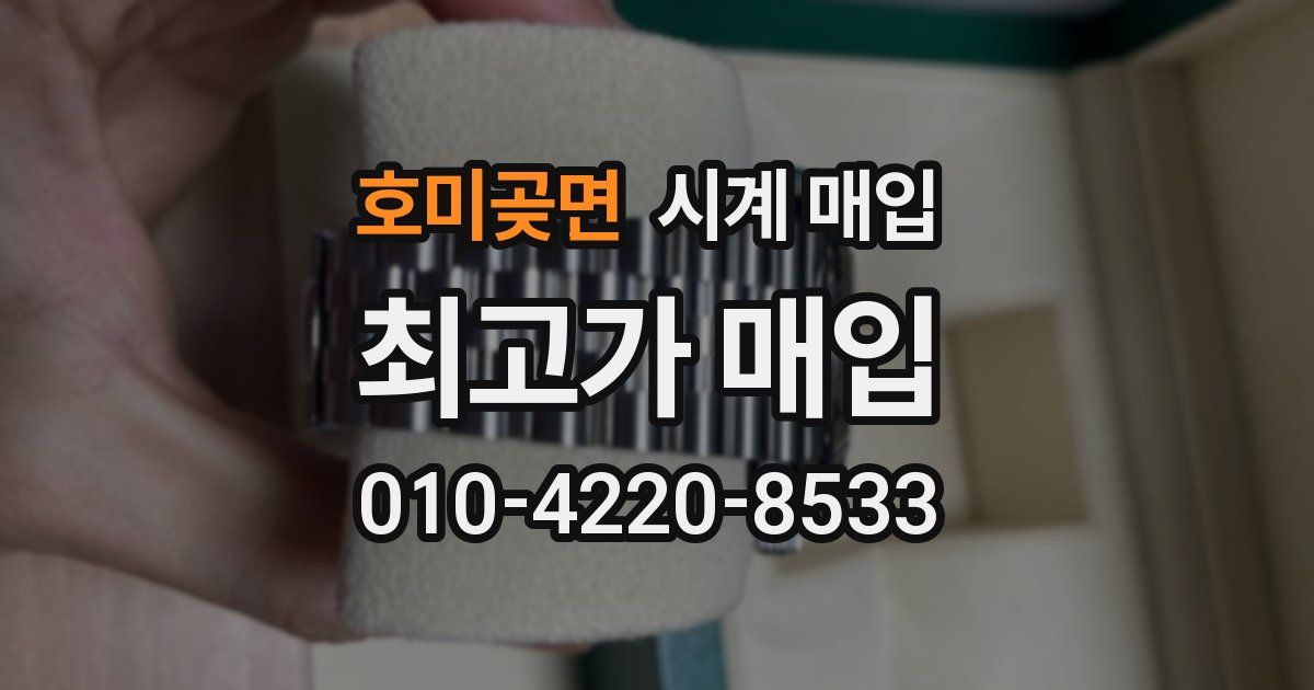 호미곶면 시계 매입