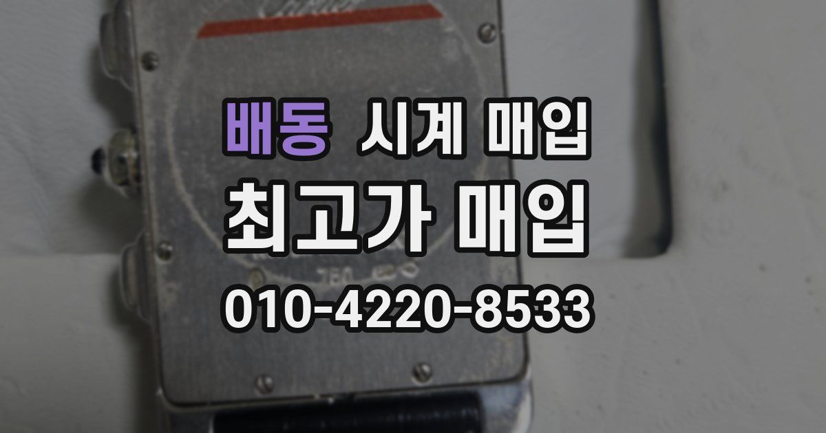 배동 시계 매입