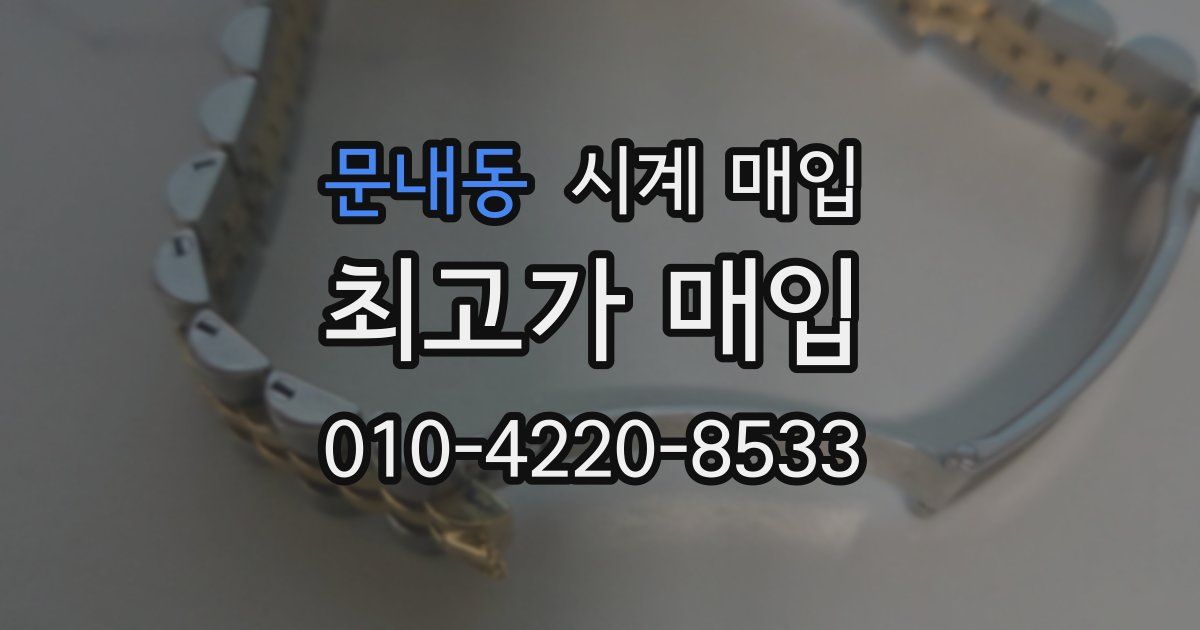 문내동 시계 매입