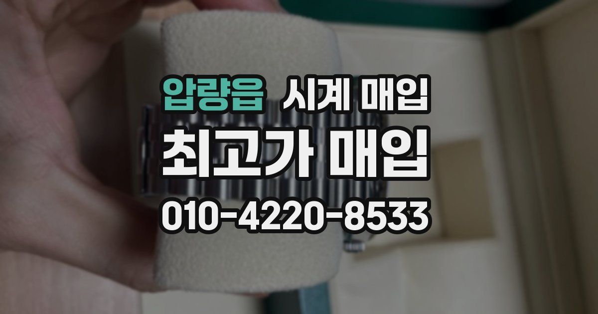 압량읍 시계 매입