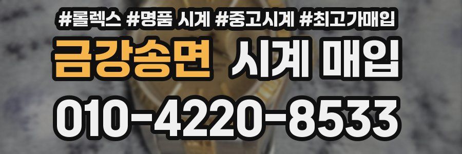 금강송면 시계 매입