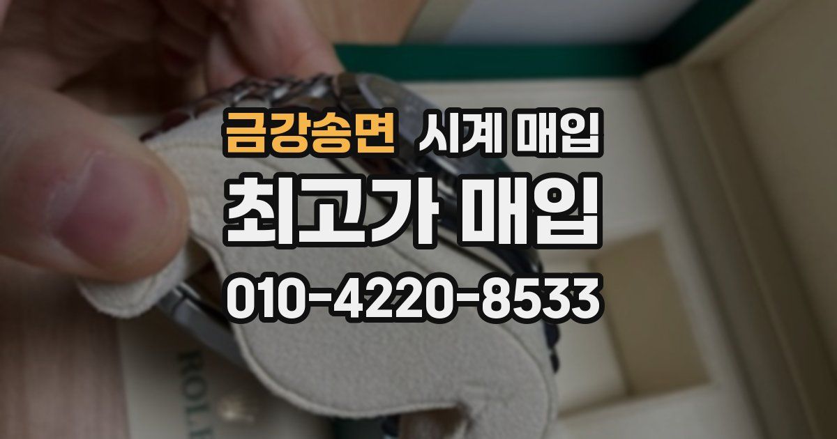 금강송면 시계 매입