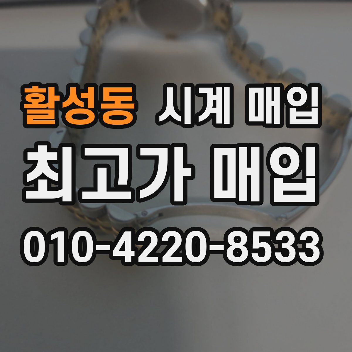 활성동 시계 매입