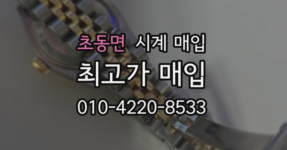 초동면 시계 매입