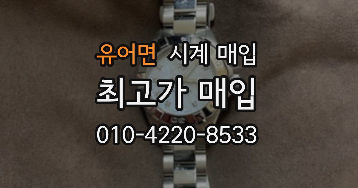 유어면 시계 매입