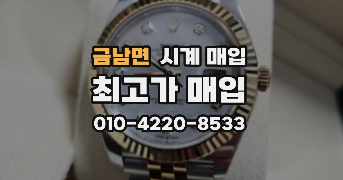 금남면 시계 매입