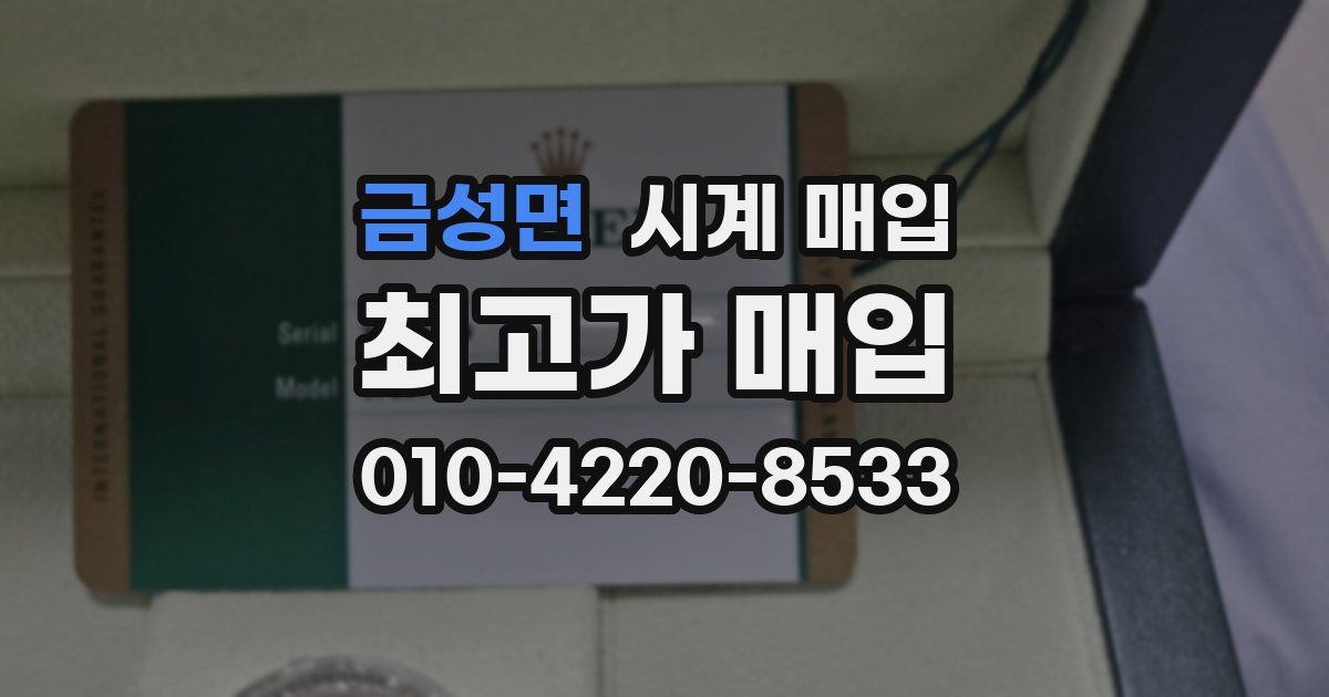 금성면 시계 매입