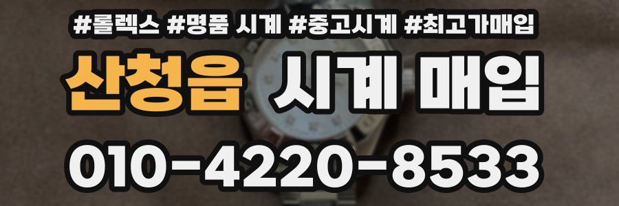 산청읍 시계 매입