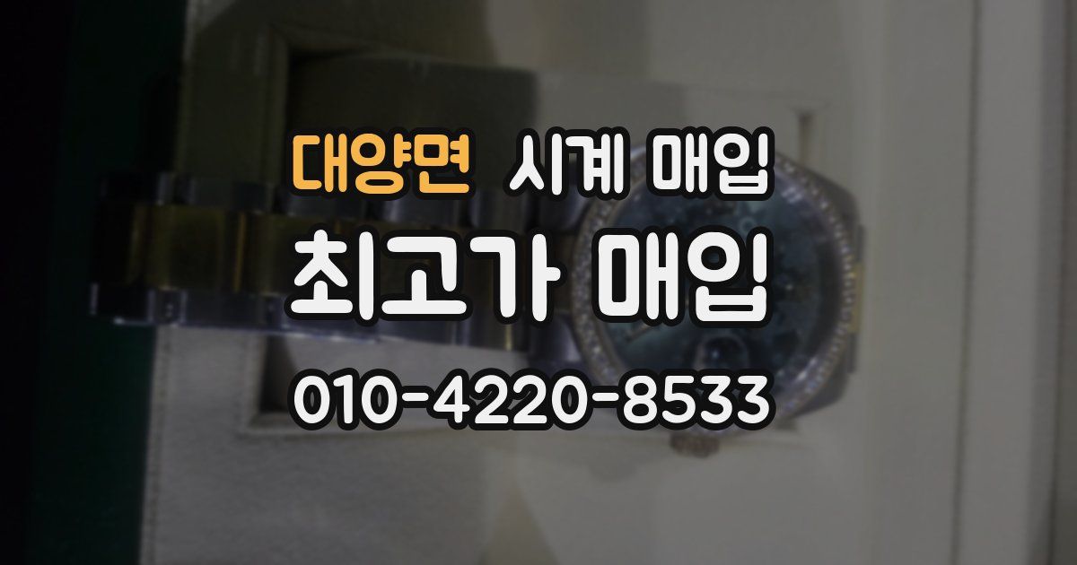 대양면 시계 매입