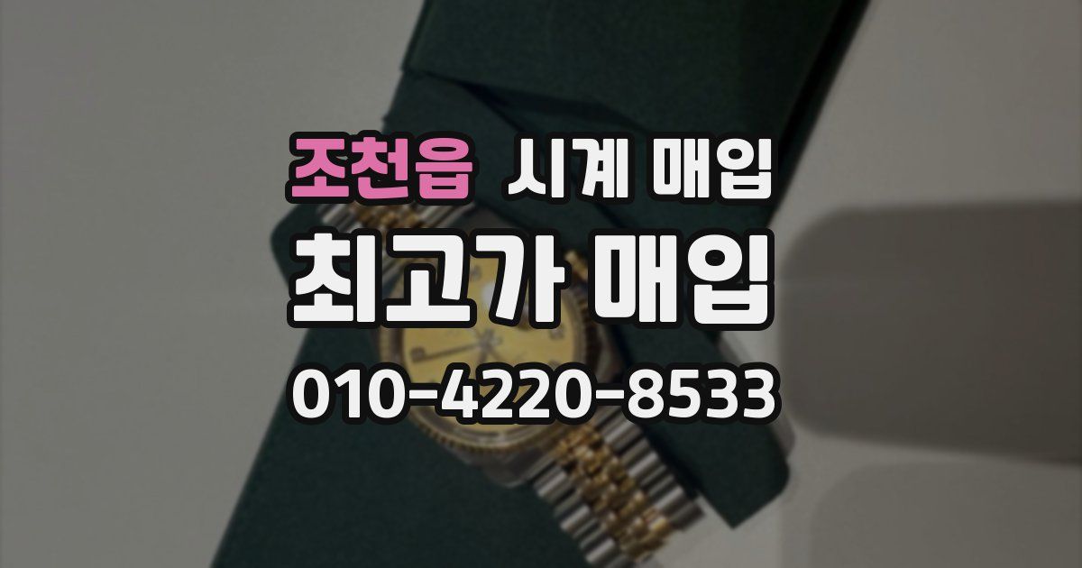 조천읍 시계 매입