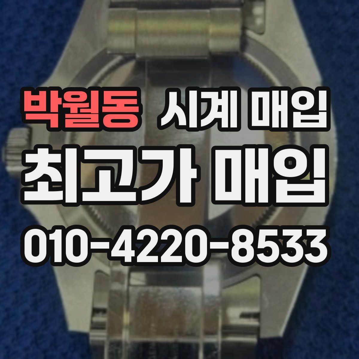 박월동 시계 매입
