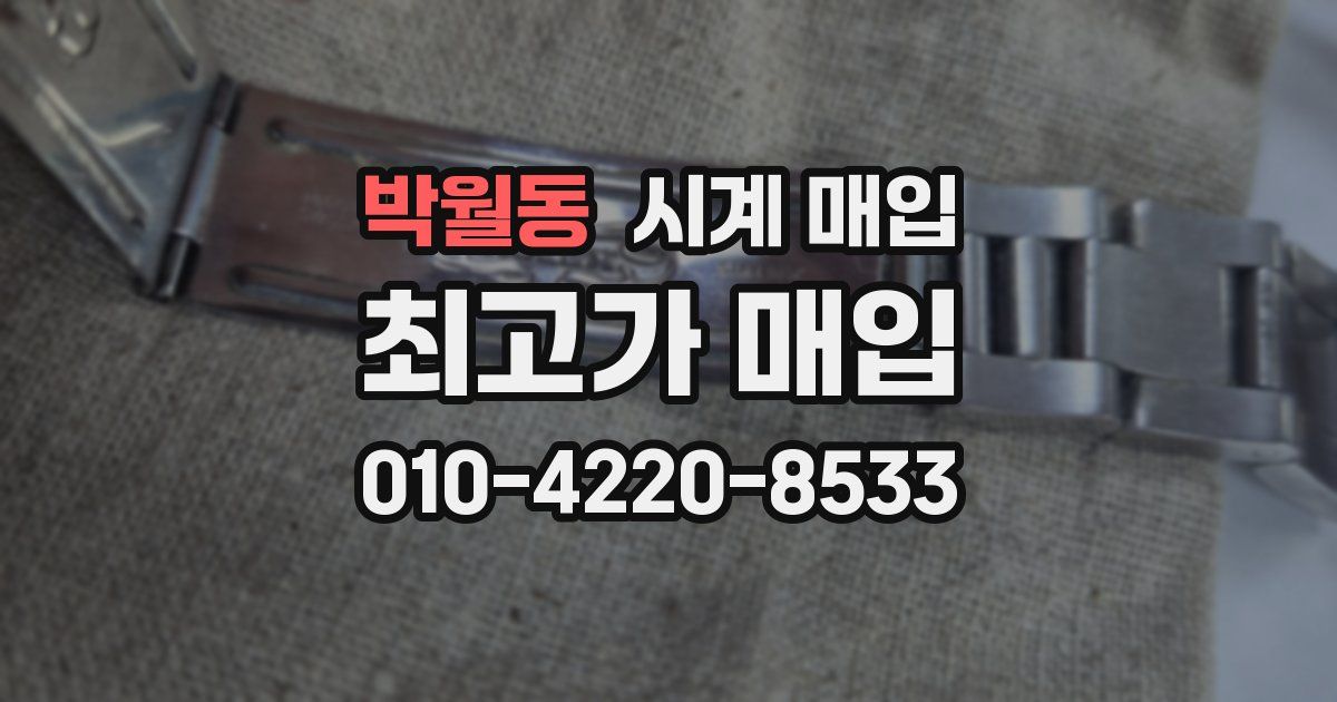 박월동 시계 매입
