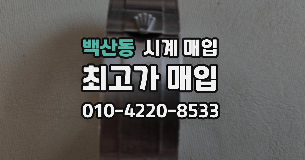 백산동 시계 매입