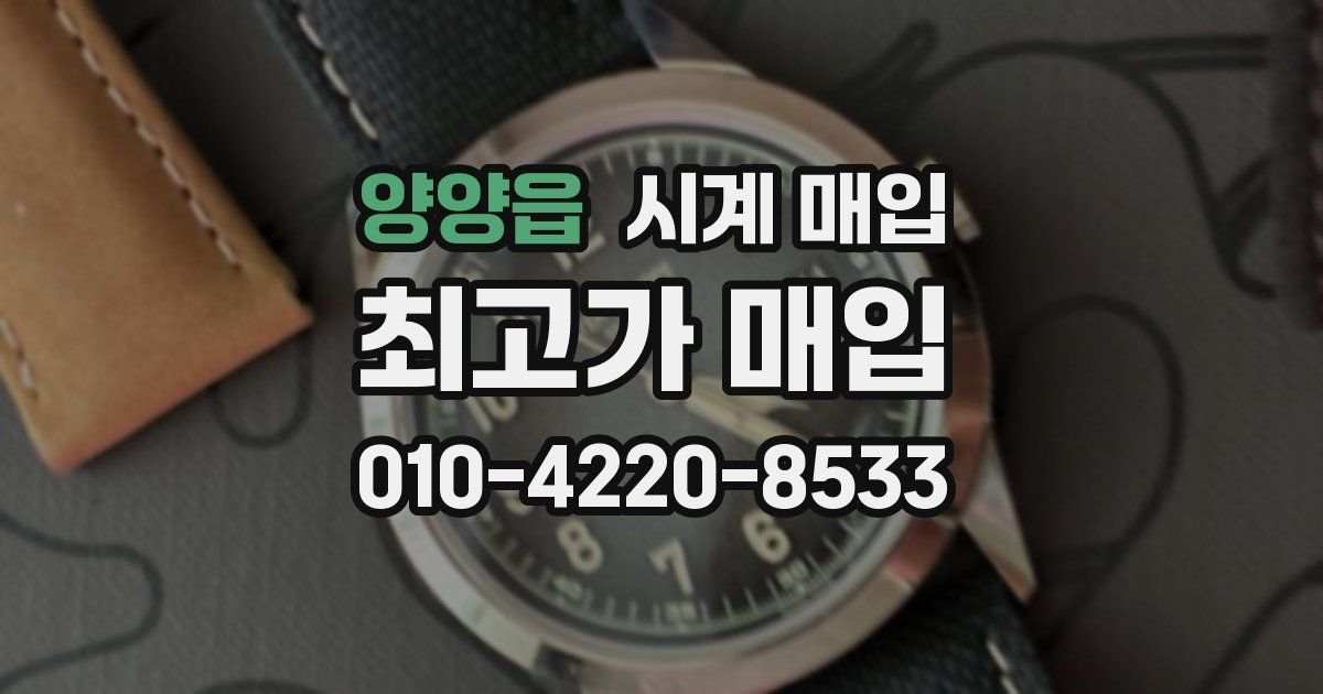 양양읍 시계 매입