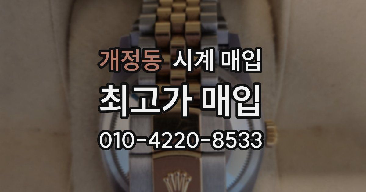 개정동 시계 매입
