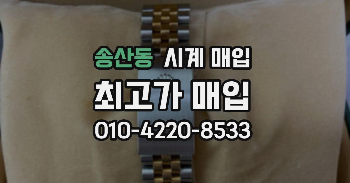 송산동 시계 매입