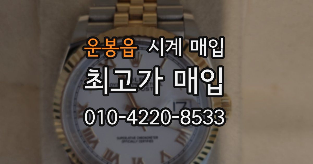 운봉읍 시계 매입