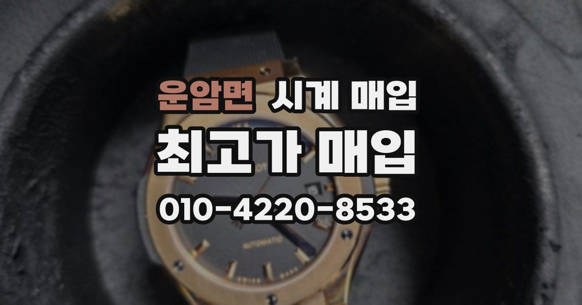 운암면 시계 매입