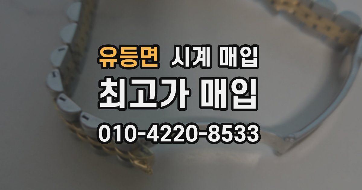 유등면 시계 매입